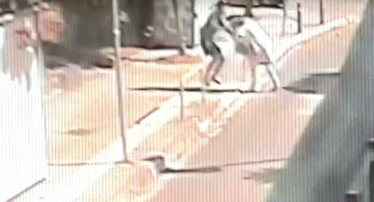 Νέα Ιωνία: Εξαρθρώθηκαν συμμορίες ληστών που δρούσαν έξω από σταθμούς ΗΣΑΠ – Δείτε βίντεο Νέα Ιωνία: Εξαρθρώθηκαν συμμορίες ληστών που δρούσαν έξω από σταθμούς ΗΣΑΠ – Δείτε βίντεο